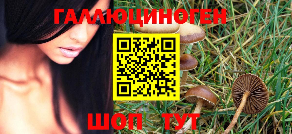 Гусь-Хрустальный  Псилоцибиновые грибы MAGIC MUSHROOMS  Вход с VPN 