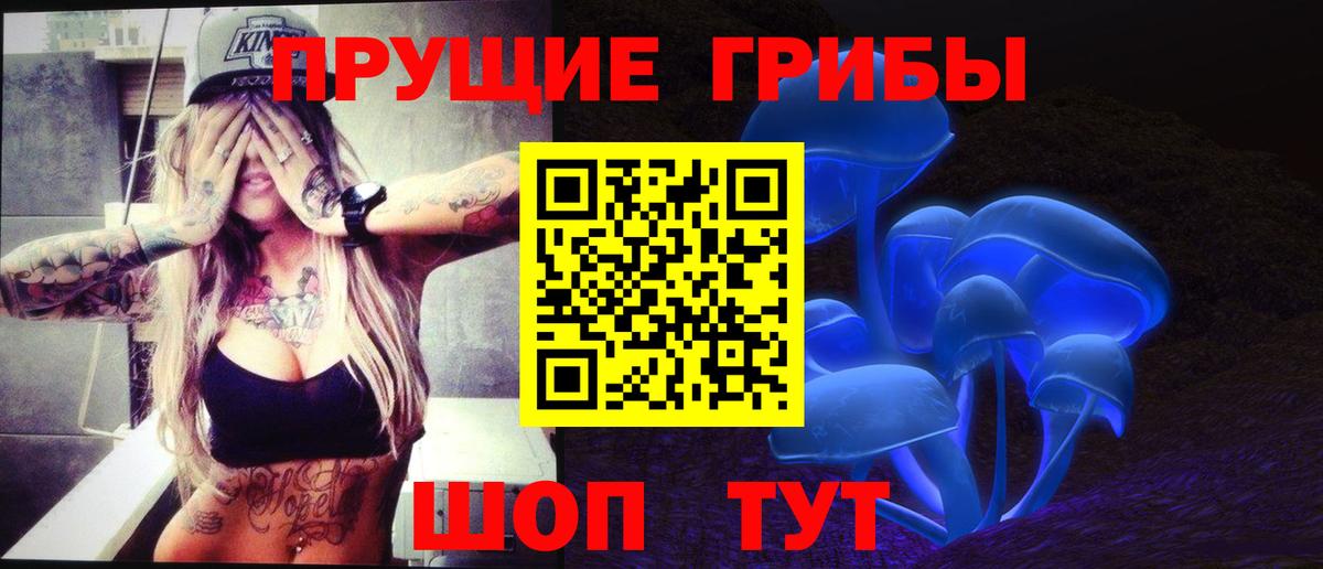 Псилоцибиновые грибы Psilocybine cubensis Гусь-Хрустальный